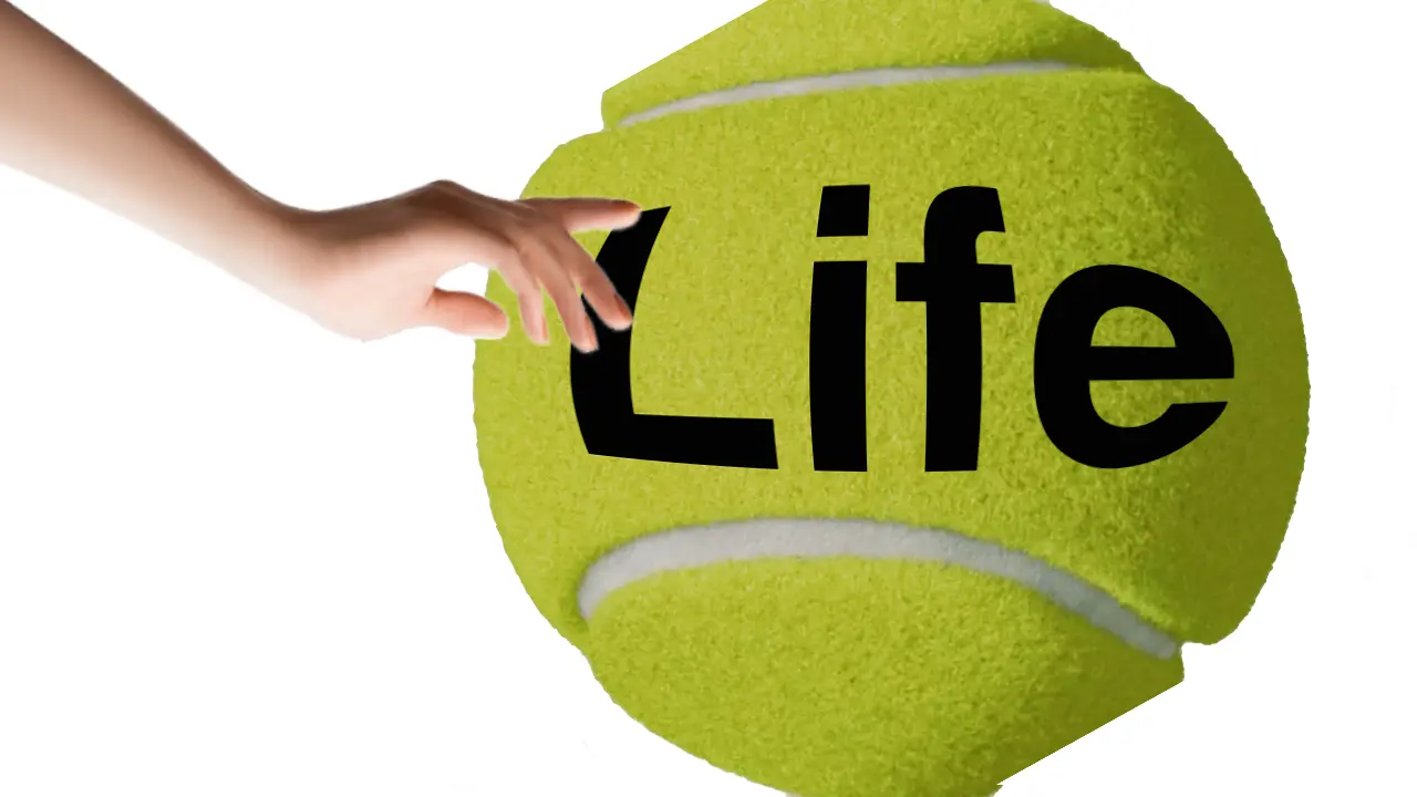 Cover Image for Reflections on Life Priorities